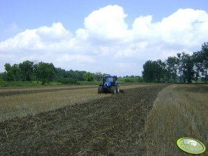 New Holland T6050