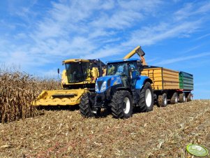 New holland T6070 PC  + warfama i wielton