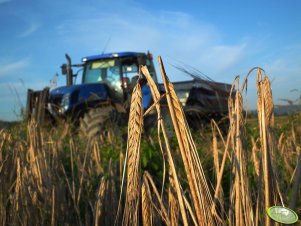 New Holland T7030