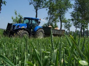 New Holland T7030