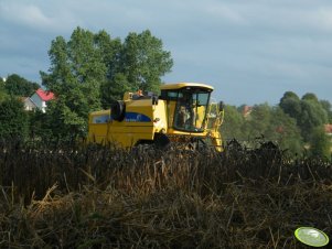 New Holland TC 54 Bizon