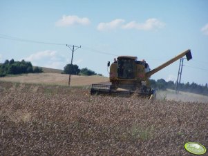 New Holland TC 54 Bizon