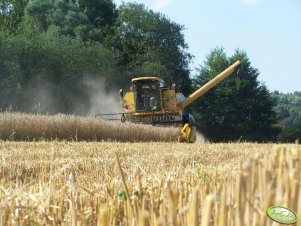 New Holland TC 54 Bizon