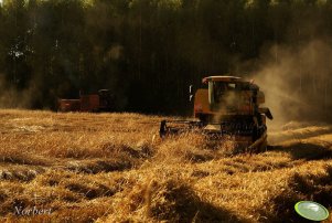 New Holland TC5060 & Bizon Z056