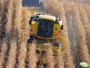 New Holland TC54 Bizon