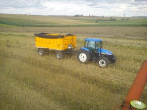 New Holland TD 5030 & Wielton 12