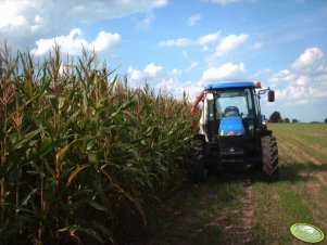 New Holland TD5030 & Kemper