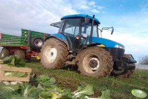 New Holland TD5030 + Pronar T653/1