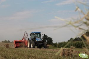 New Holland TD5030 + Sipma
