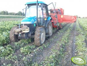 New Holland TD60D + Grimme LK 650