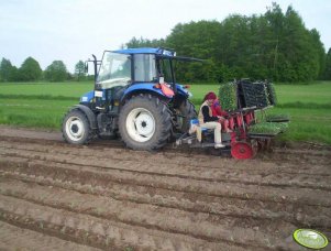 New Holland TD70