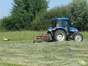 New holland TD70D + akpil