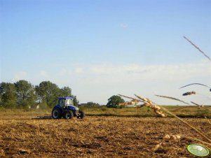 New Holland TD80D Plus + Brony