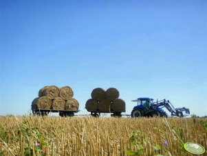 New Holland TD80D Plus + Przyczepy