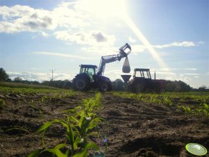 New Holland TD80D Plus