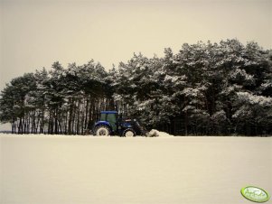 New Holland TD80D Plus