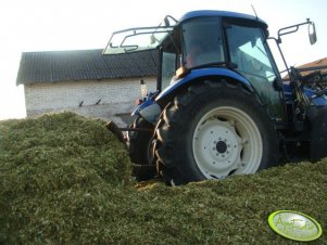 New Holland TD80D + Tur + spychacz 