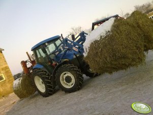 New Holland TD80D