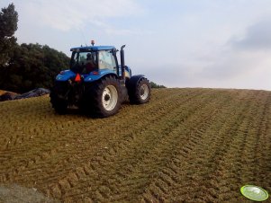 New Holland TG255