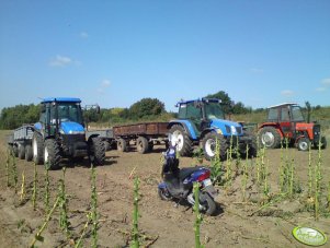 New Holland TL100a & New Holland TD5020 & Ursus 3512 & 5 x Autosan