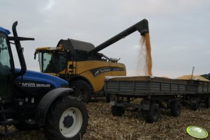 New Holland TM 125 i NH CX 840