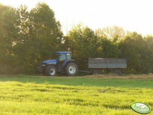 New Holland TM 175 
