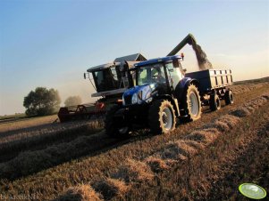 New Holland TS 115A + P78 S & Claas Medion 310