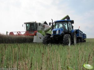 New Holland TS 115A + przyczepy  & Claas Medion 310