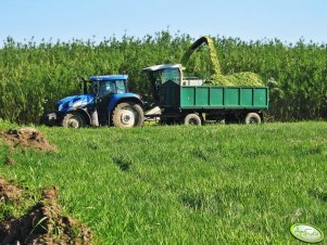 New Holland  tvt 170