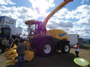 New Holland