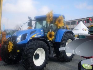 New Holland