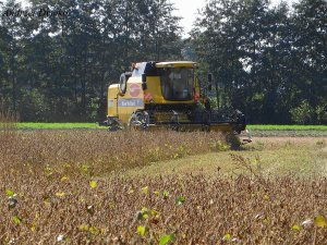 New Holland TC5070