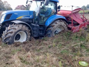 NH T7030 AC + Horsch Express 3TD