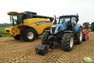 NH T7030 AC & Horsch Express & CX5080