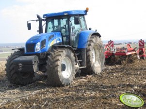 NH T7550 + Horsch Tiger 3m