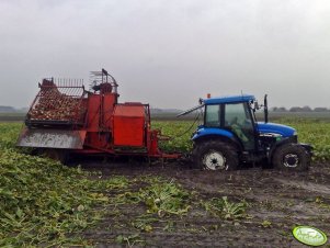NH TD60D + Neptun Z413