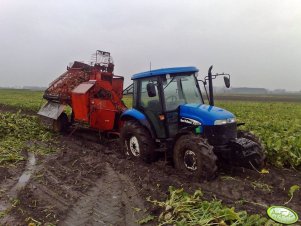 NH TD60D + Neptun Z413