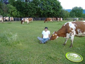 Nie ma to jak prawdziwa kobita, tu cie podgryzie tam posmyra