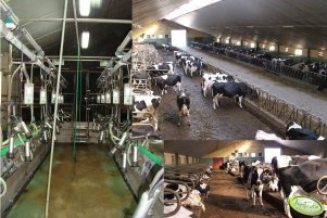 Obora 120DJP, widok wnętrza 