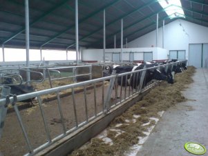 Obora wolnostanowiskowa