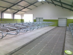 Obora wolnostanowiskowa