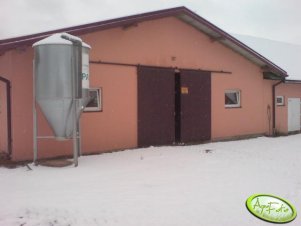 Obora