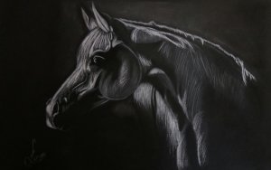 Obrazy zwierząt mojego wykonania