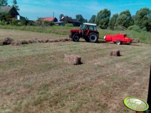 ostatni dzień zmagań ze sianem