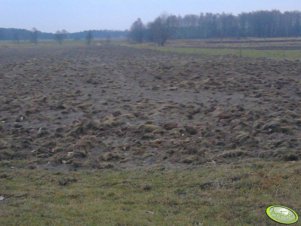 Pastwisko "uprawione" broną wirnikową.