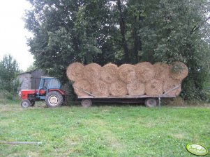 Platforma do bel i kostek