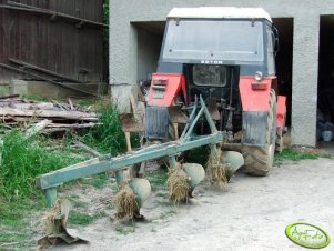 Pług który używam do orki i podorywki