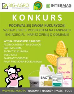 Pochwal się swoją kukurydzą! | konkurs na Facebooku