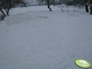 Podwórko