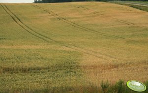 Pogarszająca się jakość gleby